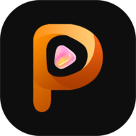 P站官方官网