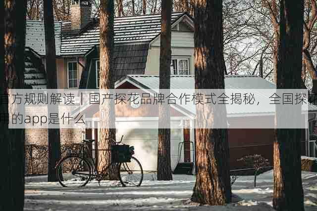 官方规则解读｜国产探花品牌合作模式全揭秘，全国探花用的app是什么