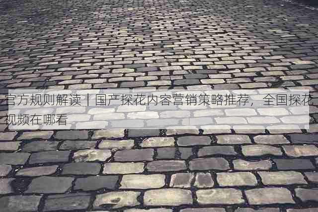 官方规则解读｜国产探花内容营销策略推荐，全国探花视频在哪看