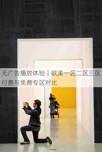 无广告播放体验｜欧美一区二区三区付费与免费专区对比