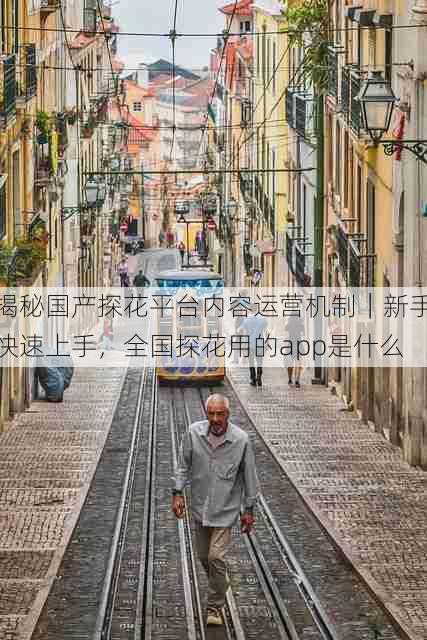 揭秘国产探花平台内容运营机制|新手快速上手,全国探花用的app是什么