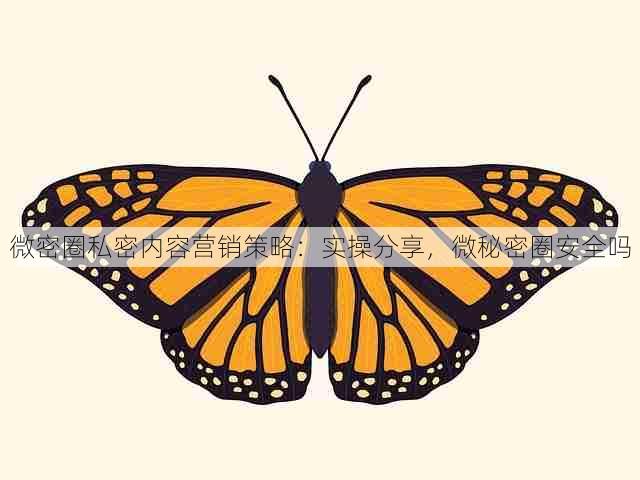 微密圈私密内容营销策略:实操分享,微秘密圈安全吗