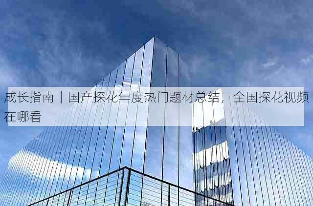 成长指南|国产探花年度热门题材总结,全国探花视频在哪看