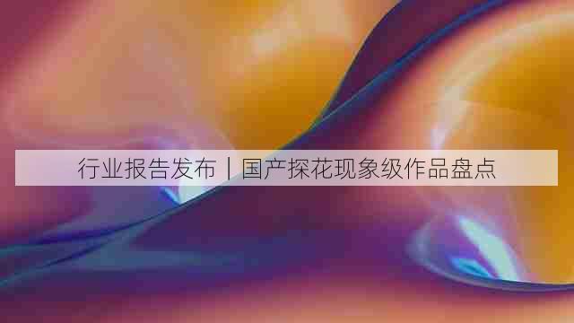 行业报告发布|国产探花现象级作品盘点