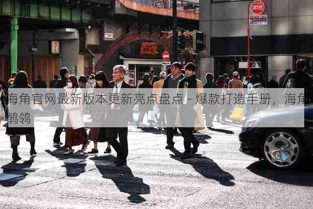 海角官网最新版本更新亮点盘点 - 爆款打造手册,海角鹡鸰