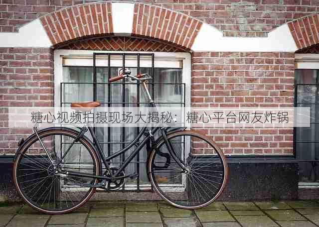 糖心视频拍摄现场大揭秘:糖心平台网友炸锅