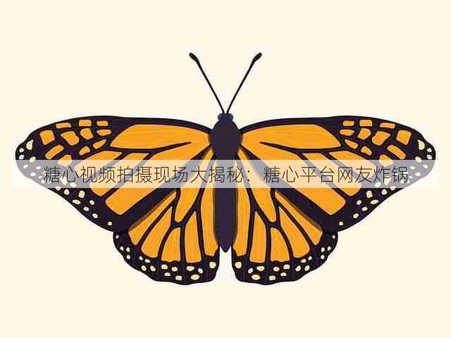 糖心视频拍摄现场大揭秘:糖心平台网友炸锅