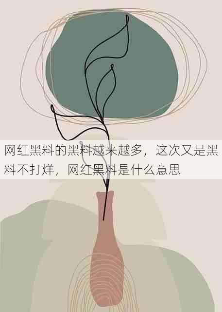 网红黑料的黑料越来越多，这次又是黑料不打烊，网红黑料是什么意思
