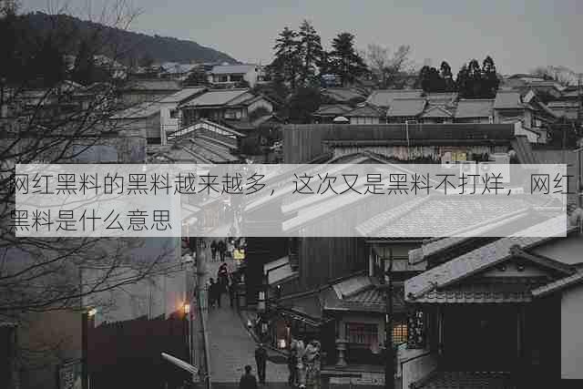 网红黑料的黑料越来越多，这次又是黑料不打烊，网红黑料是什么意思