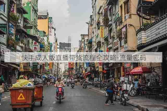 快手成人版直播带货流程全攻略-流量密码