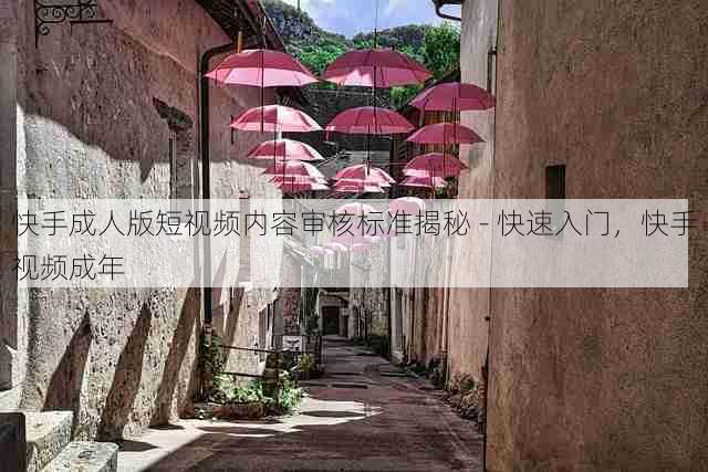 快手成人版短视频内容审核标准揭秘 - 快速入门,快手视频成年