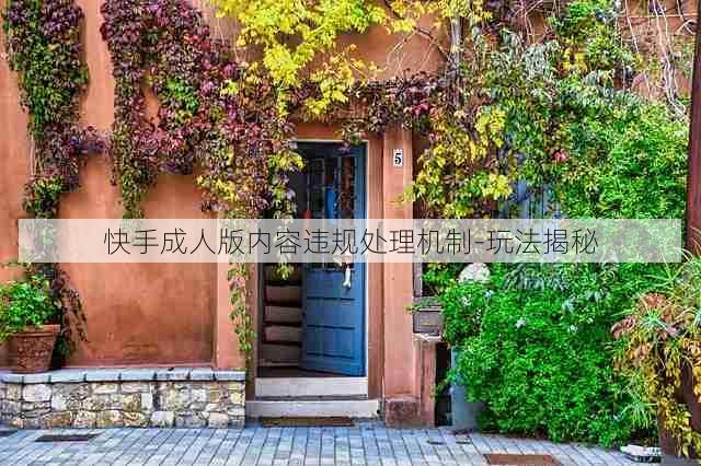 快手成人版内容违规处理机制-玩法揭秘