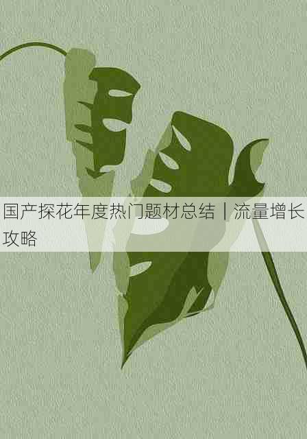 国产探花年度热门题材总结|流量增长攻略