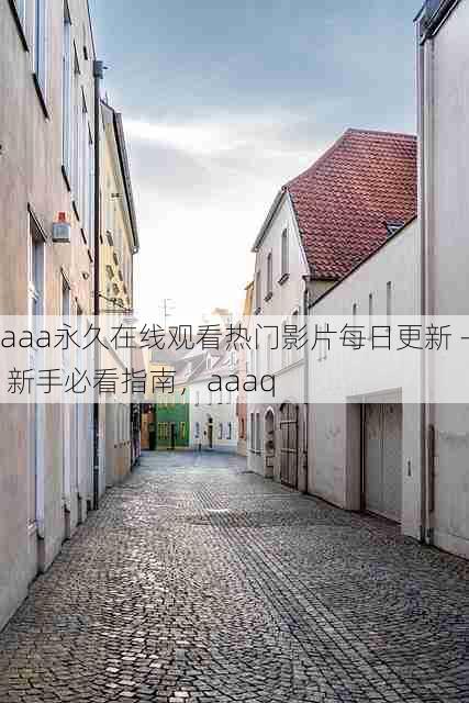aaa永久在线观看热门影片每日更新 - 新手必看指南,aaaq