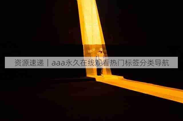 资源速递|aaa永久在线观看热门标签分类导航