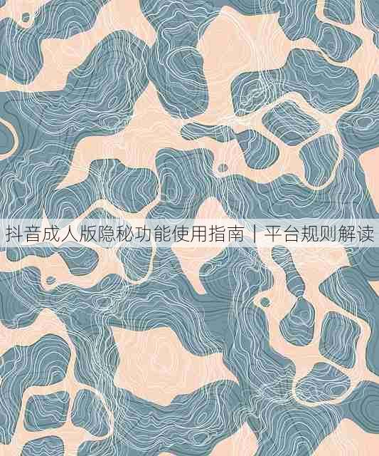 抖音成人版隐秘功能使用指南|平台规则解读