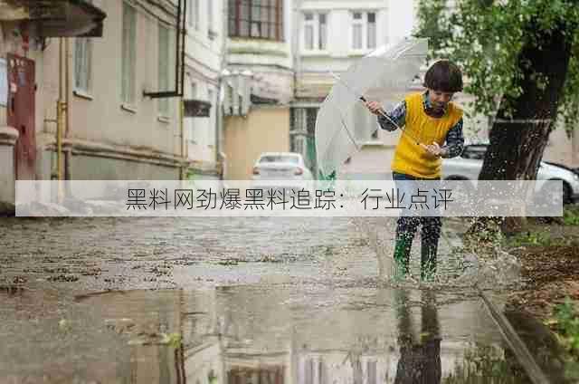 黑料网劲爆黑料追踪：行业点评