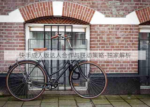 快手成人版达人合作与联动策略-独家解析