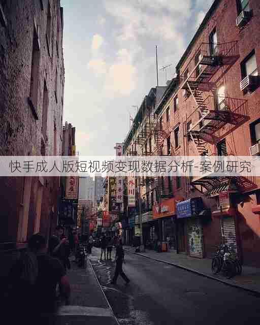 快手成人版短视频变现数据分析-案例研究