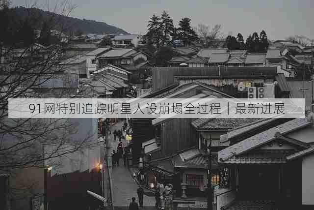 91网特别追踪明星人设崩塌全过程|最新进展