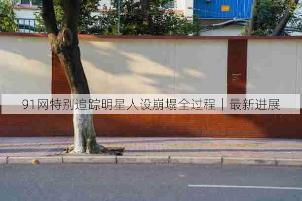 91网特别追踪明星人设崩塌全过程|最新进展