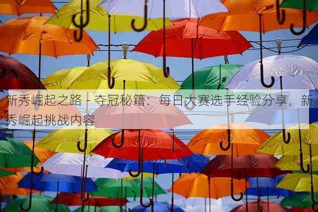 新秀崛起之路 - 夺冠秘籍：每日大赛选手经验分享，新秀崛起挑战内容