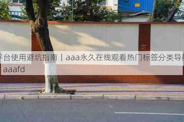 平台使用避坑指南|aaa永久在线观看热门标签分类导航,aaafd