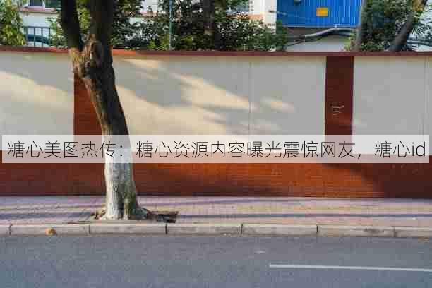 糖心美图热传:糖心资源内容曝光震惊网友,糖心id