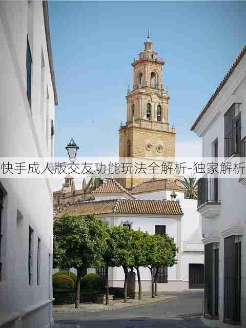 快手成人版交友功能玩法全解析-独家解析