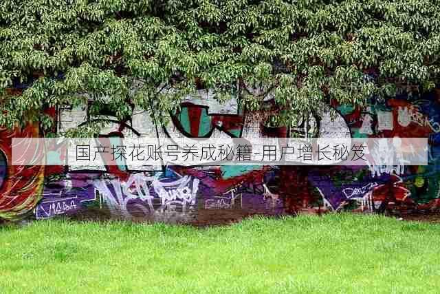 国产探花账号养成秘籍-用户增长秘笈
