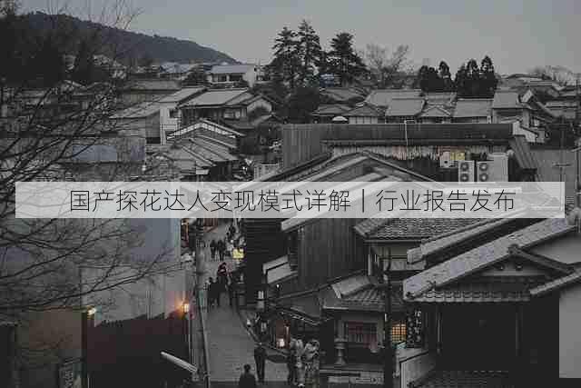 国产探花达人变现模式详解|行业报告发布