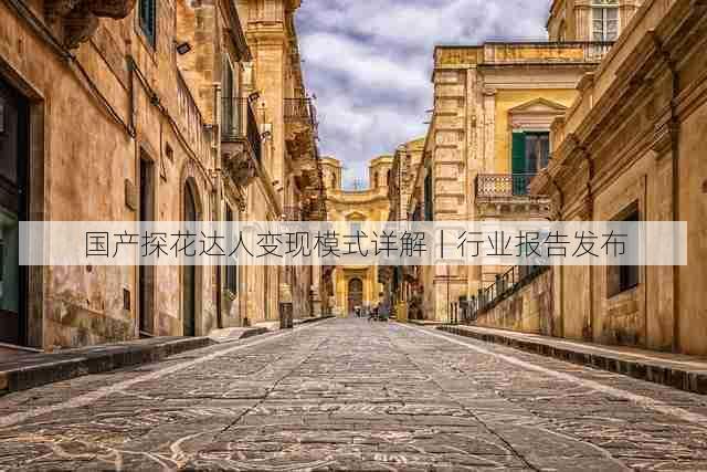 国产探花达人变现模式详解|行业报告发布