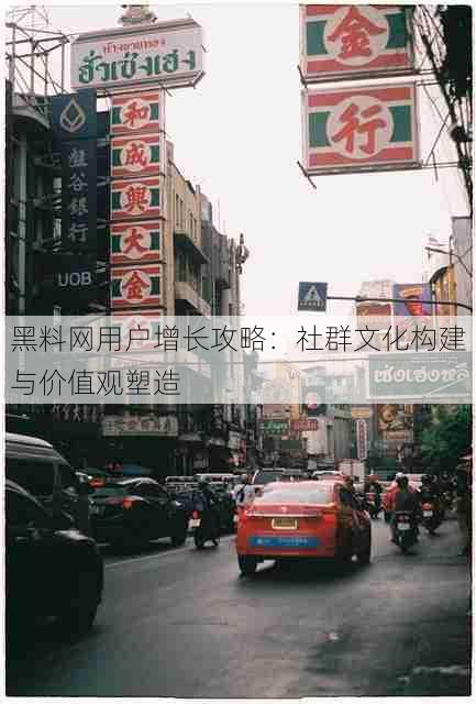 黑料网用户增长攻略:社群文化构建与价值观塑造