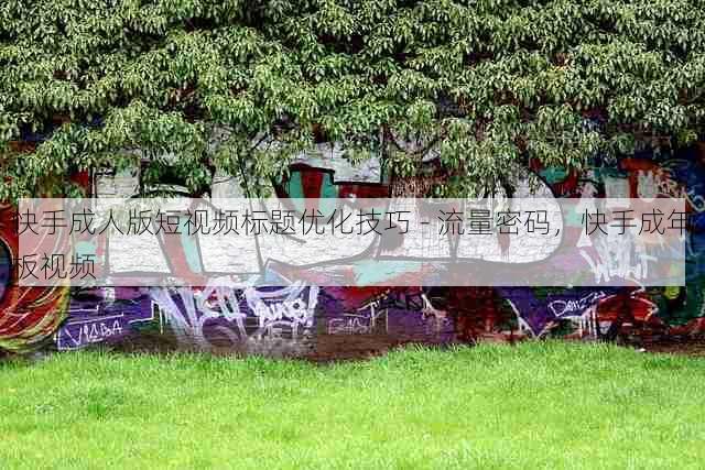 快手成人版短视频标题优化技巧 - 流量密码,快手成年板视频