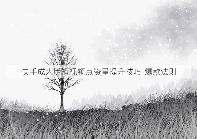 快手成人版短视频点赞量提升技巧-爆款法则