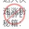微密圈达人快速涨粉秘籍:内容策划方案